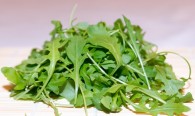 conserver-salade-roquette