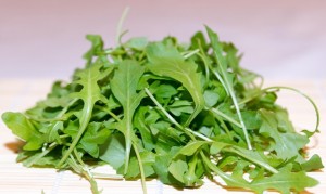 conserver-salade-roquette